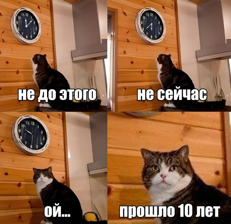 Кот смотрит на часы: не до этого, не сейчас, ой — прошло 10 лет